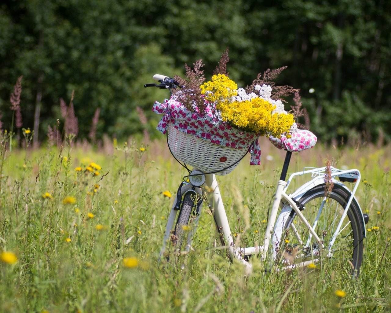 Обои цветы, растения, луг, корзина, полевые цветы, велосипед, flowers, plants, meadow, basket, wildflowers, bike разрешение 5184x3456 Загрузить