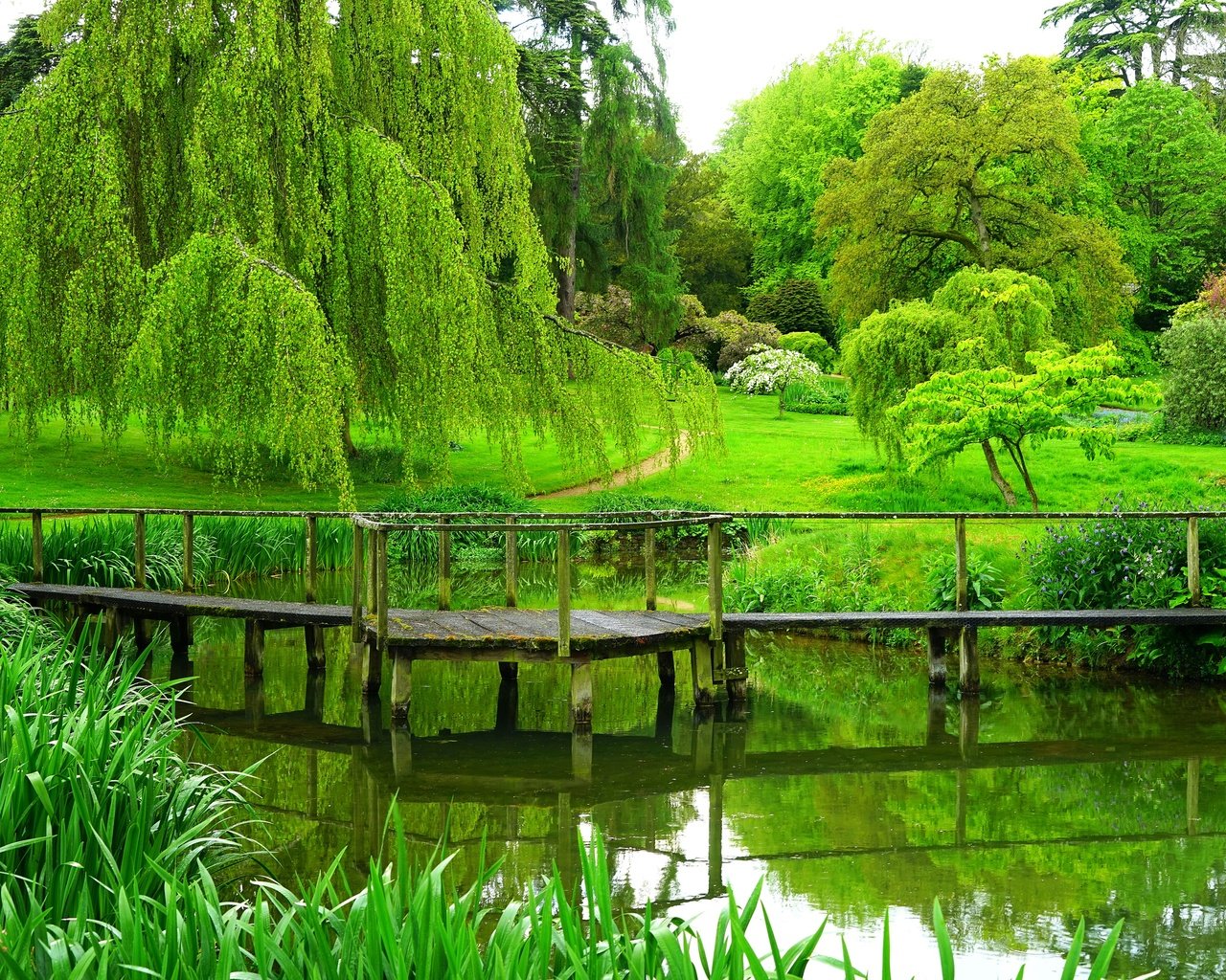 Обои деревья, река, мостик, парк, лето, англия, trees, river, the bridge, park, summer, england разрешение 3900x2600 Загрузить