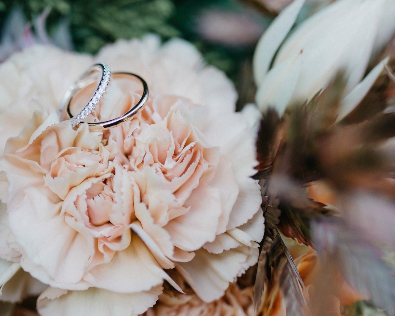 Обои цветок, кольцо, свадьба, обручальные кольца, боке, flower, ring, wedding, engagement rings, bokeh разрешение 4850x2728 Загрузить