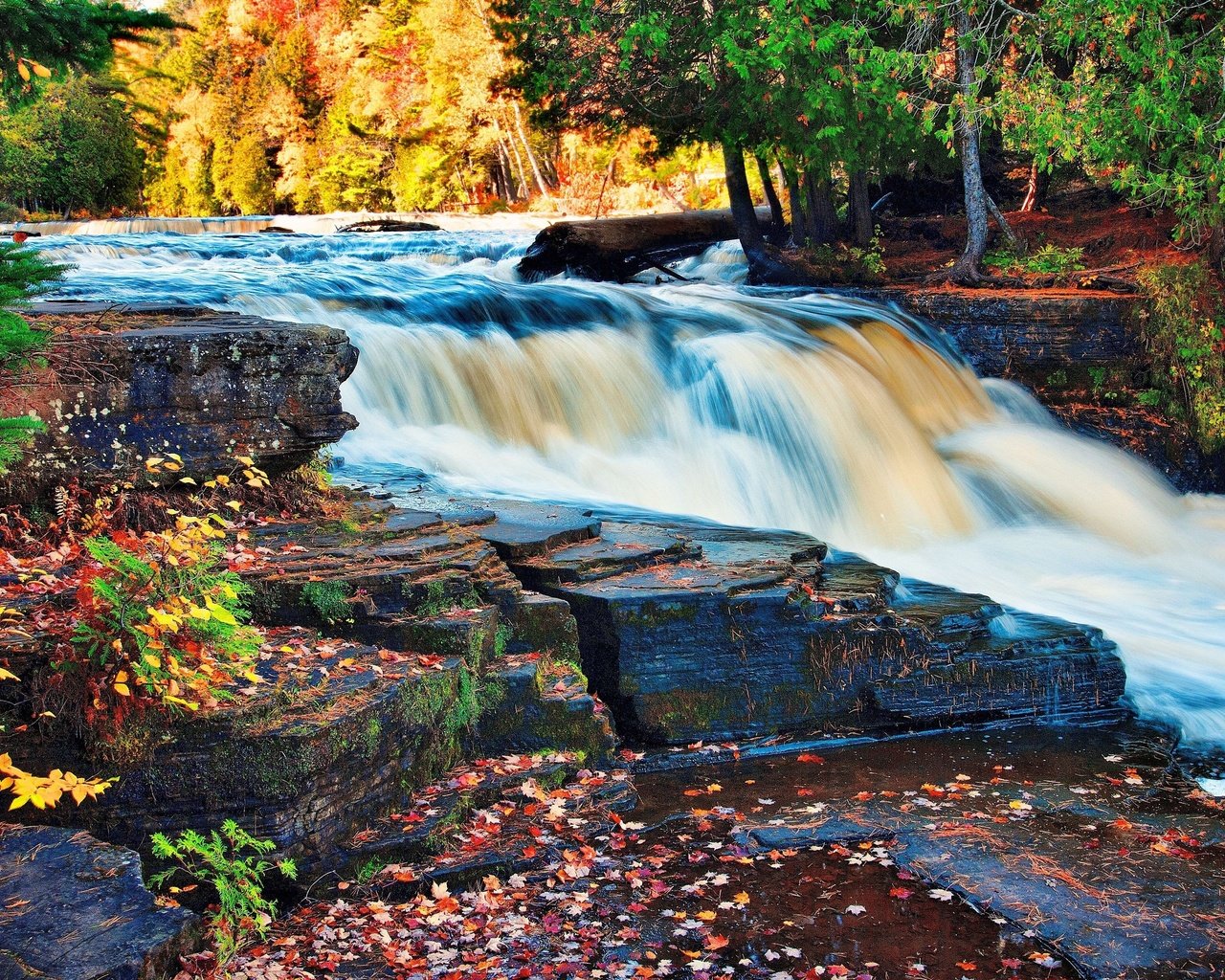 Обои деревья, осень, река, скалы, камни, лес, листья, ручей, водопад, trees, autumn, river, rocks, stones, forest, leaves, stream, waterfall разрешение 4672x3104 Загрузить