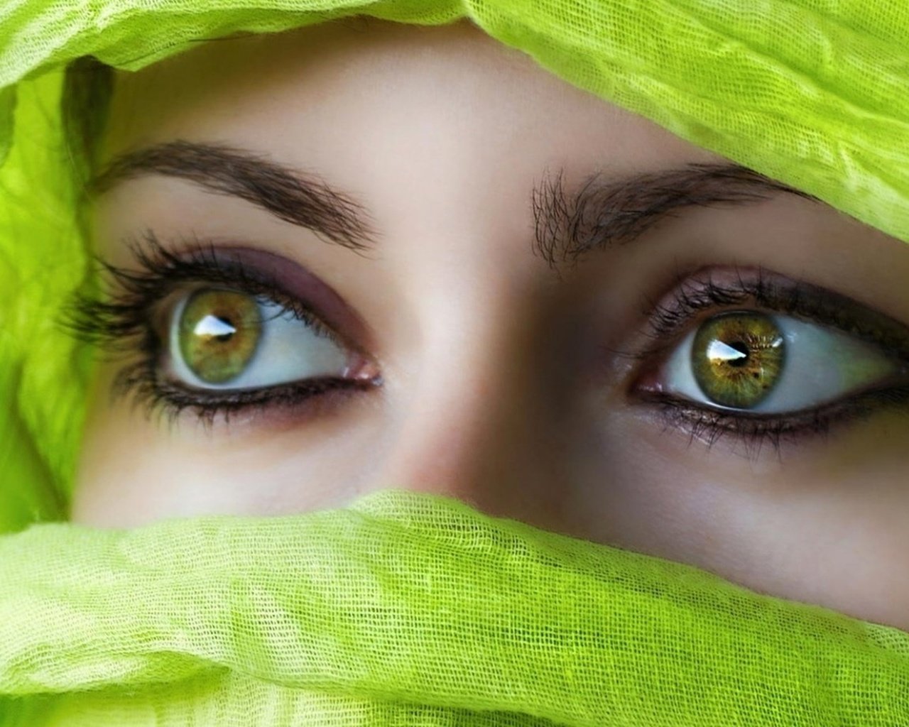 Обои глаза, девушка, взгляд, лицо, восток, платок, eyes, girl, look, face, east, shawl разрешение 2010x1206 Загрузить