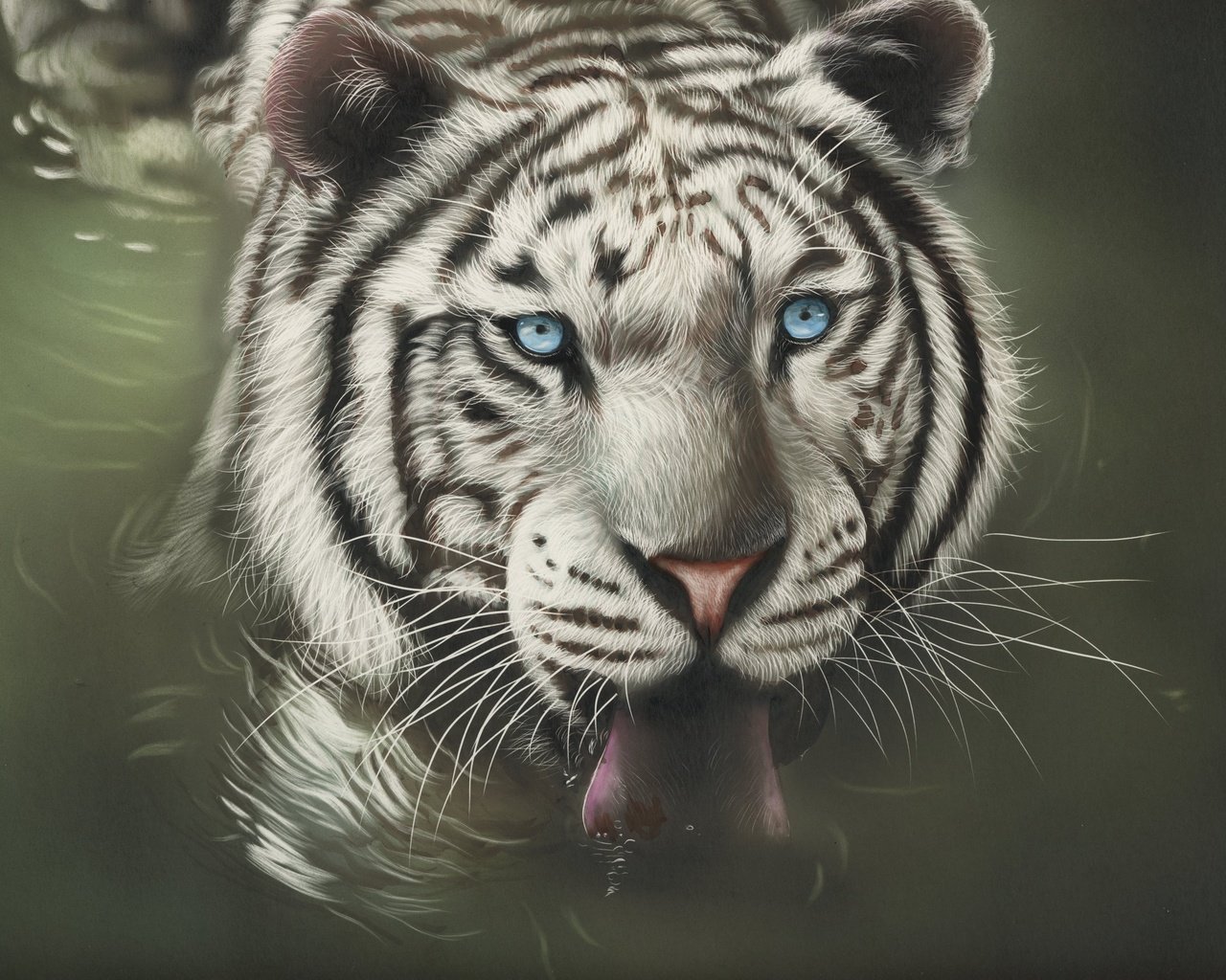 Обои тигр, морда, арт, взгляд, хищник, язык, дикая кошка, белый тигр, tiger, face, art, look, predator, language, wild cat, white tiger разрешение 3456x2496 Загрузить