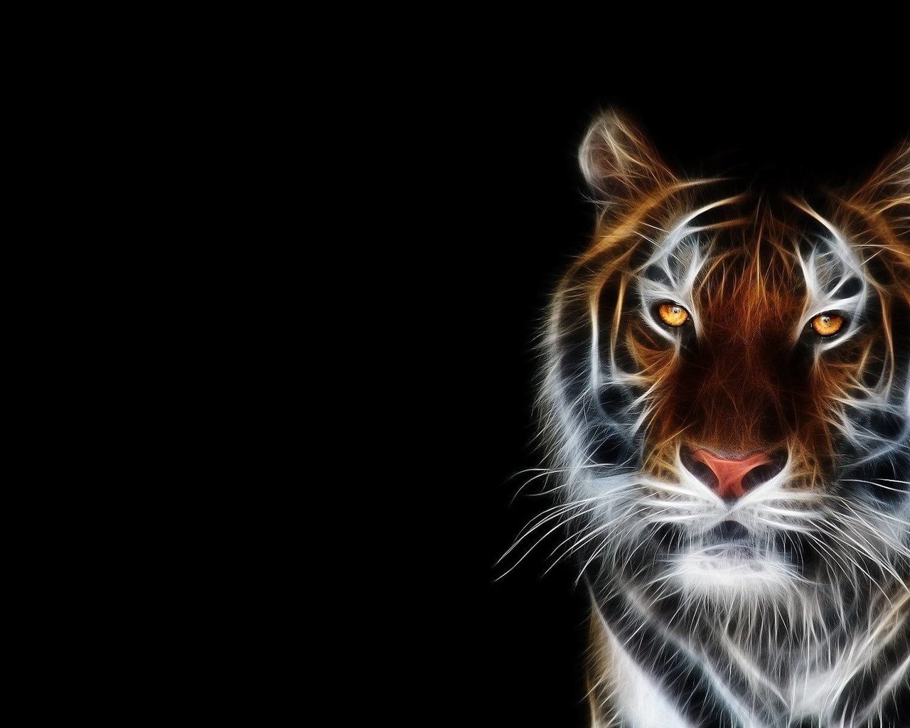 Обои тигр, морда, фон, черный, tiger, face, background, black разрешение 1920x1200 Загрузить