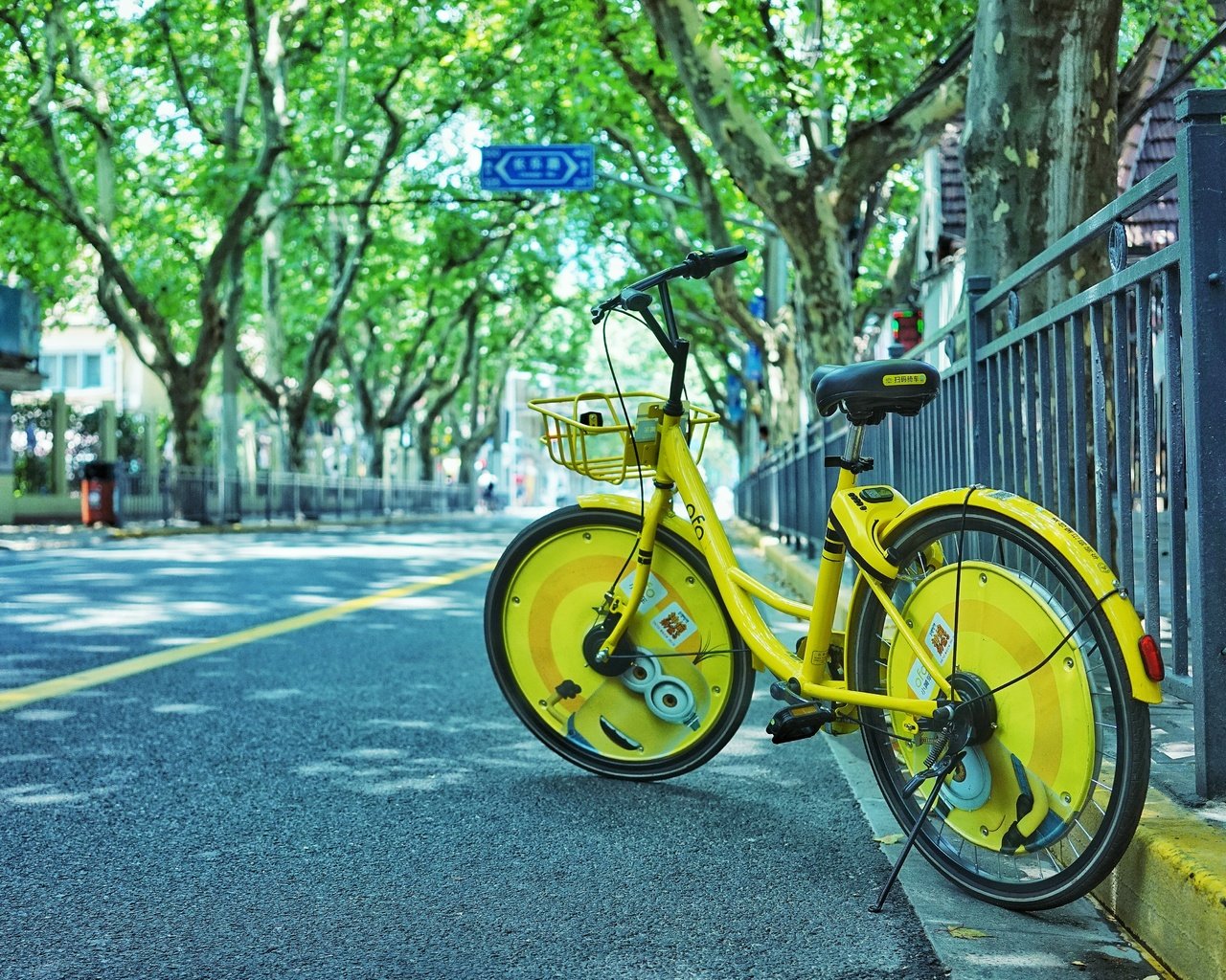 Обои деревья, город, улица, велосипед, trees, the city, street, bike разрешение 5567x3706 Загрузить