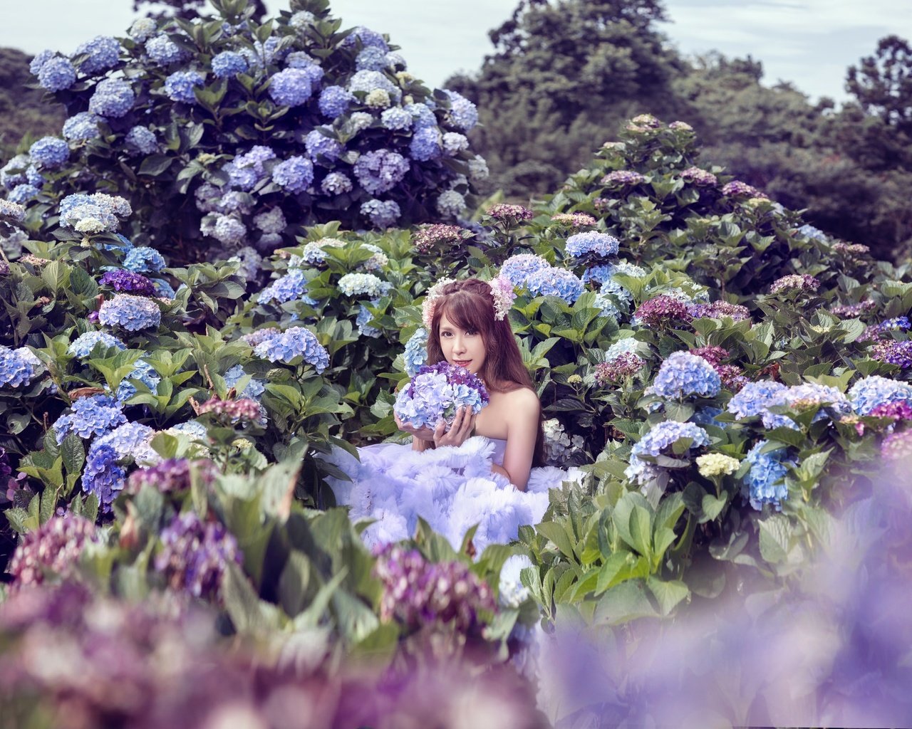 Обои цветы, девушка, азиатка, гортензия, фотоссесия, flowers, girl, asian, hydrangea разрешение 2048x1367 Загрузить