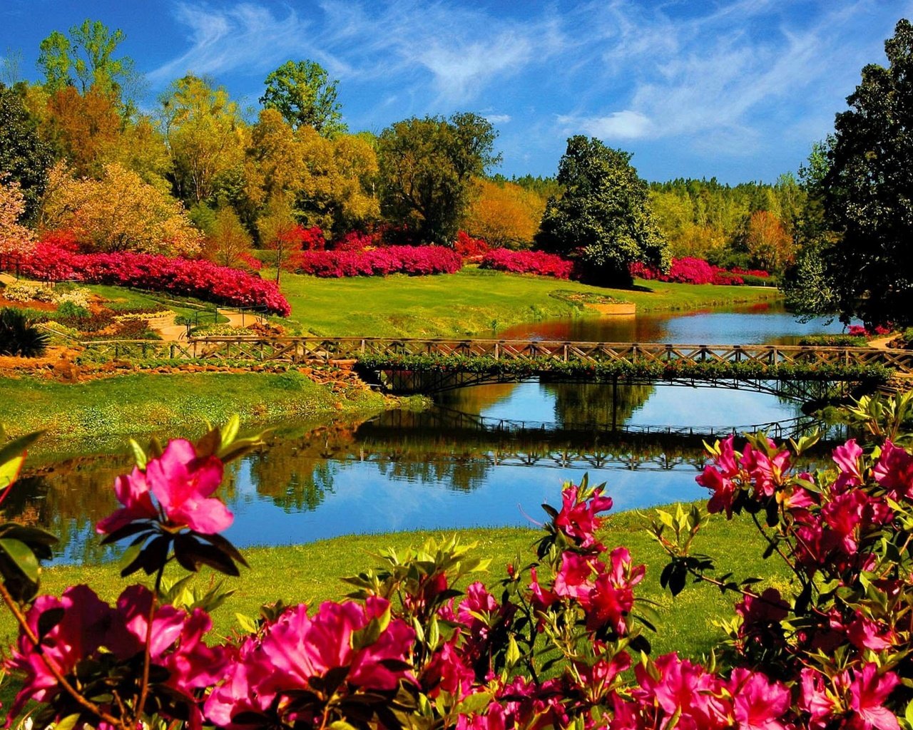 Обои цветы, природа, мост, flowers, nature, bridge разрешение 2560x1600 Загрузить