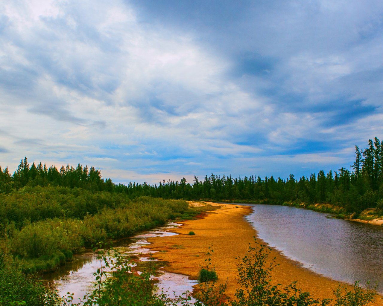 Обои вода, река, природа, берег, зелень, лес, елки, water, river, nature, shore, greens, forest, tree разрешение 1920x1200 Загрузить