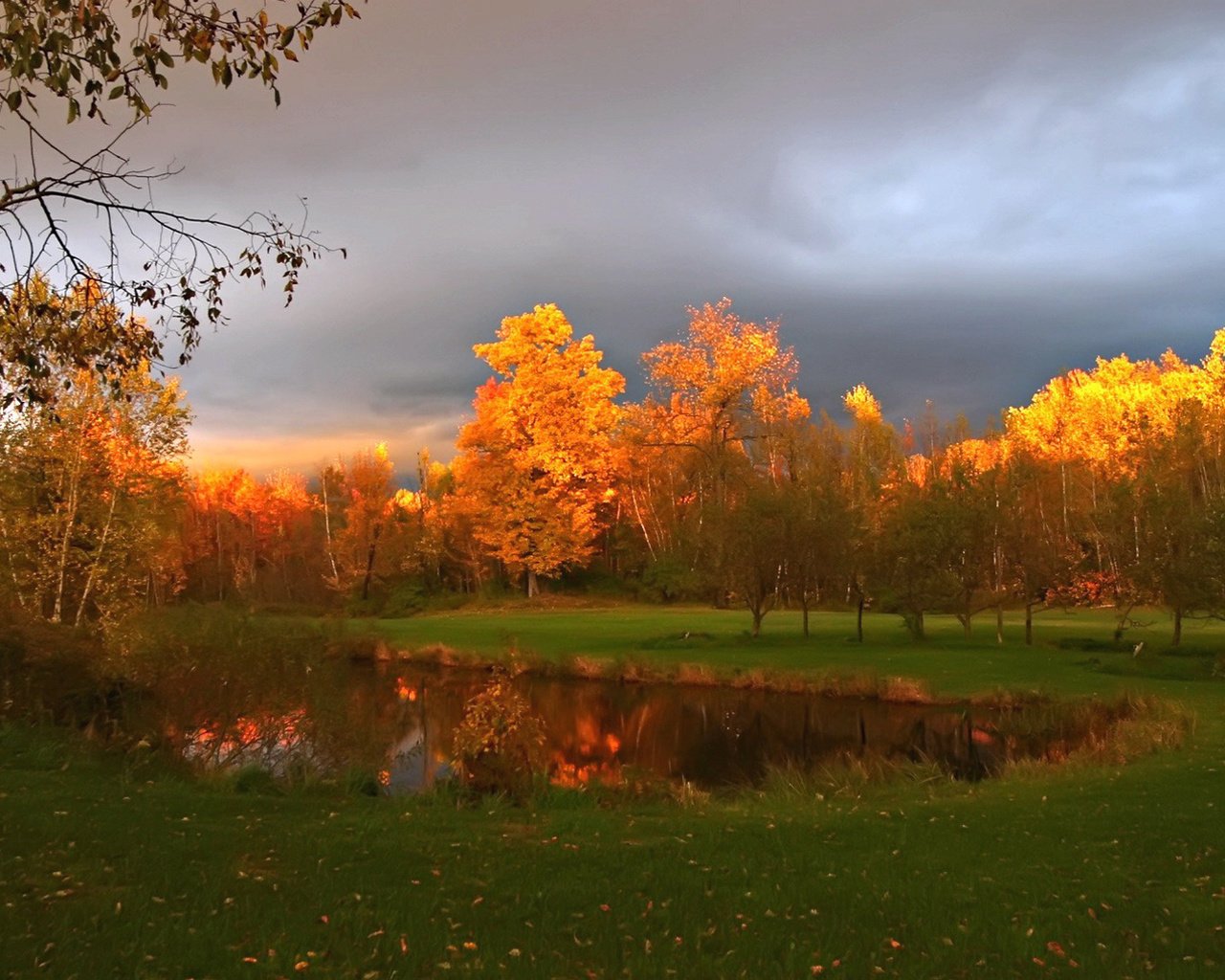 Обои небо, облака, деревья, природа, лучи, осень, кроны, the sky, clouds, trees, nature, rays, autumn, crown разрешение 1920x1080 Загрузить