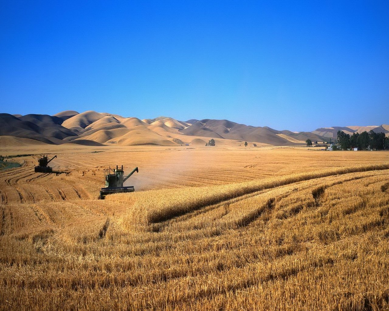 Обои пейзаж, поле, комбаины, пшеница, landscape, field, kombain, wheat разрешение 1920x1080 Загрузить
