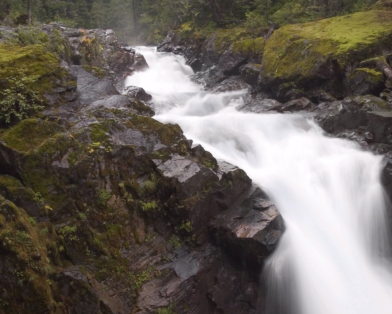 Обои камни, скала, водопад, поток, мох, stones, rock, waterfall, stream, moss разрешение 1920x1080 Загрузить