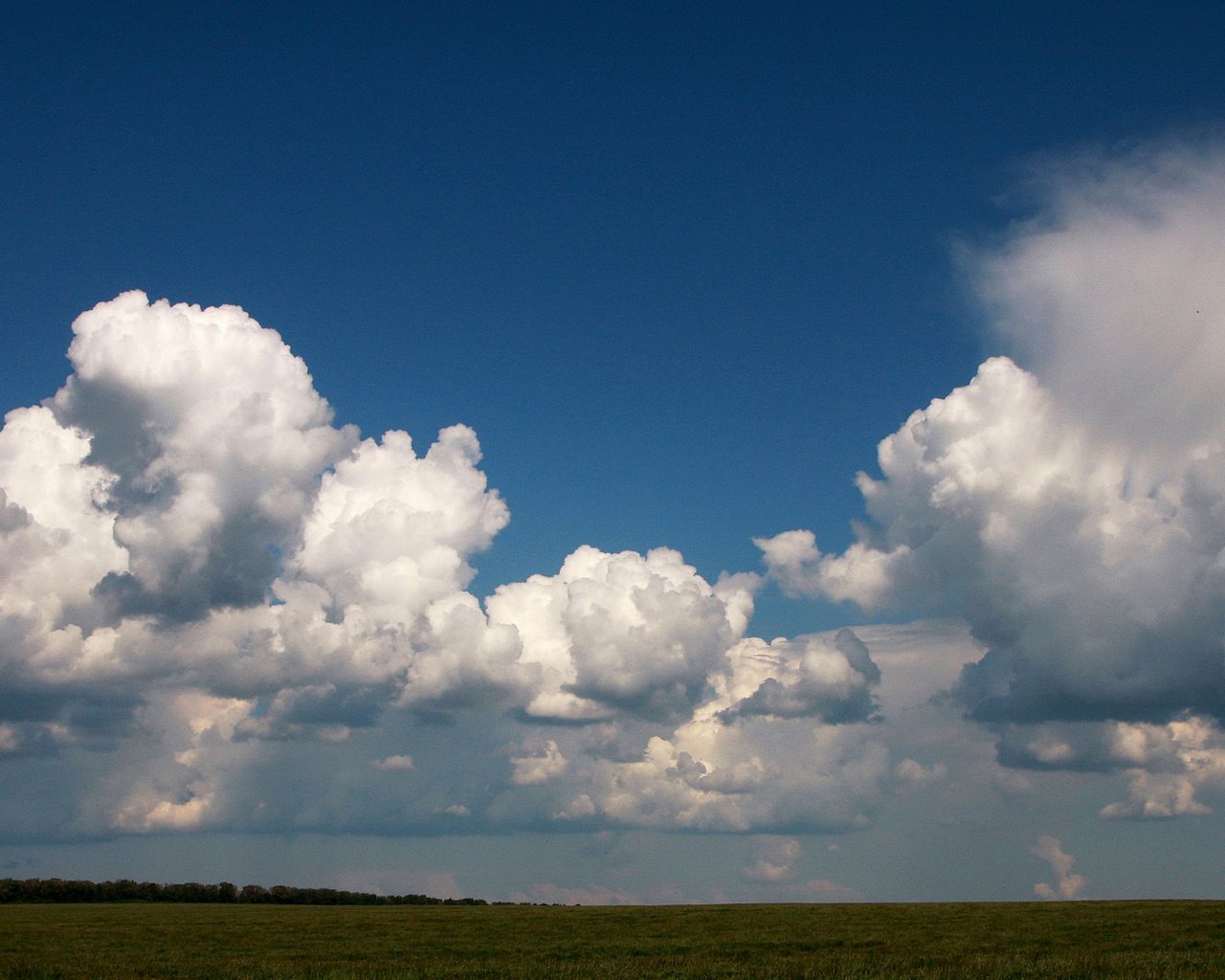 Обои небо, облака, поле, белый, голубой, ясное, the sky, clouds, field, white, blue, clear разрешение 1920x1080 Загрузить