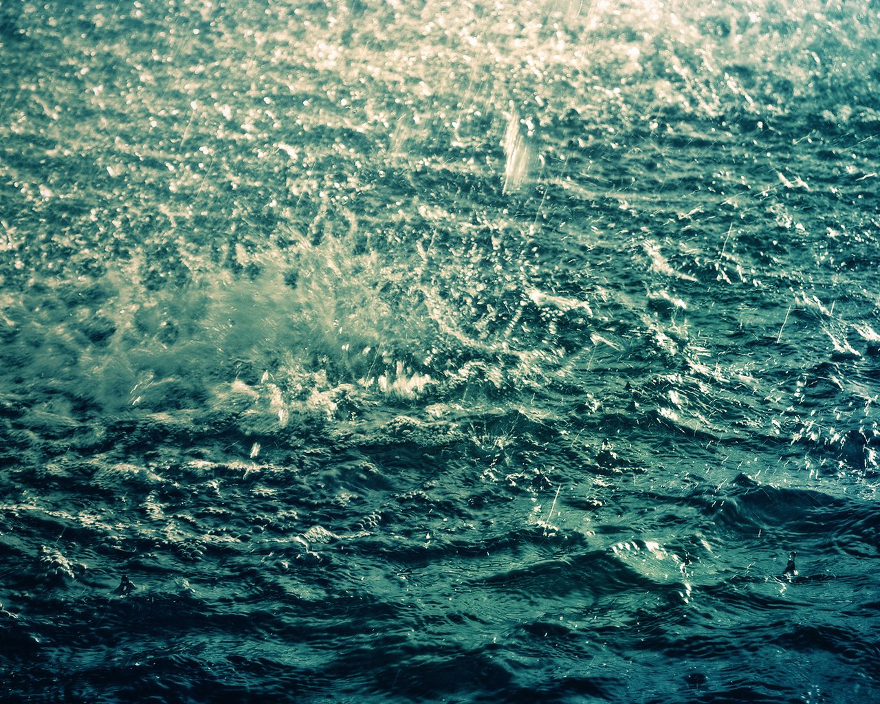 Обои вода, волны, море, капли, брызги, дождь, рябь, water, wave, sea, drops, squirt, rain, ruffle разрешение 1920x1080 Загрузить