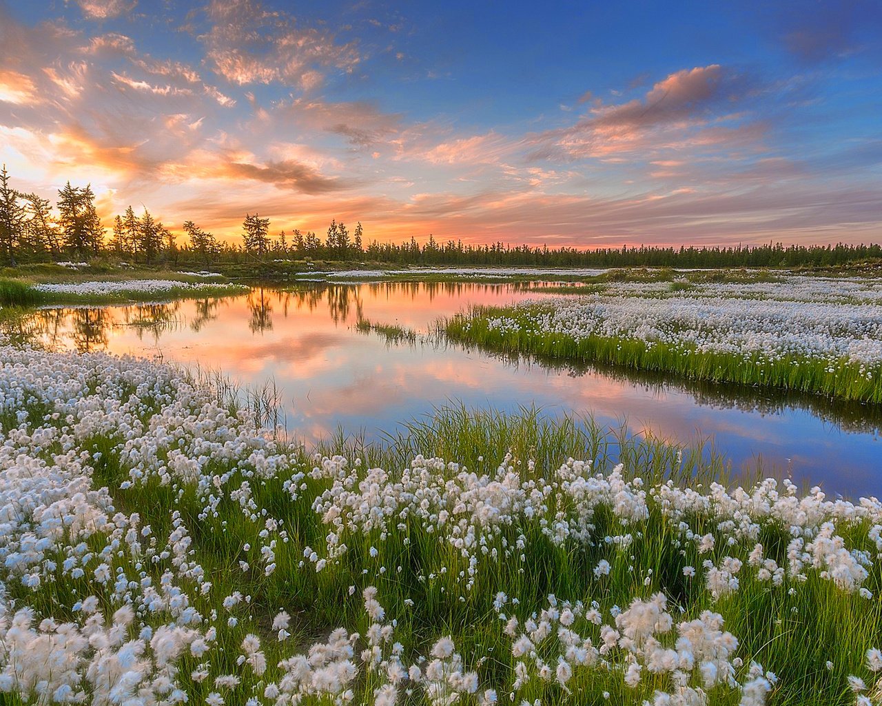 Обои небо, вода, озеро, природа, закат, россия, pavel evgrafov, пушица, ямал, yamal, the sky, water, lake, nature, sunset, russia, as cotton grass разрешение 1920x1200 Загрузить