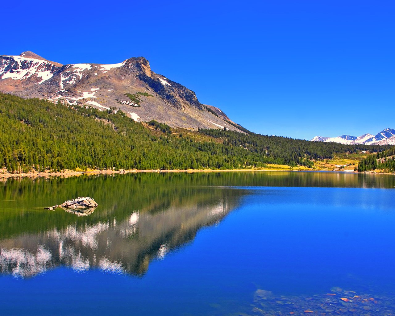 Обои озеро, горы, лес, lake, mountains, forest разрешение 1920x1080 Загрузить