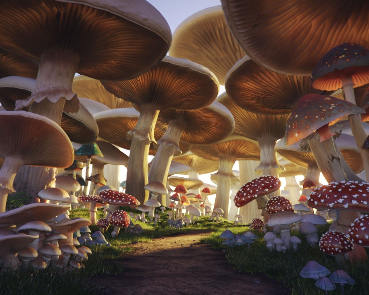 Обои грибы, тропа, mushroom forest, mushrooms, trail разрешение 1920x1080 Загрузить