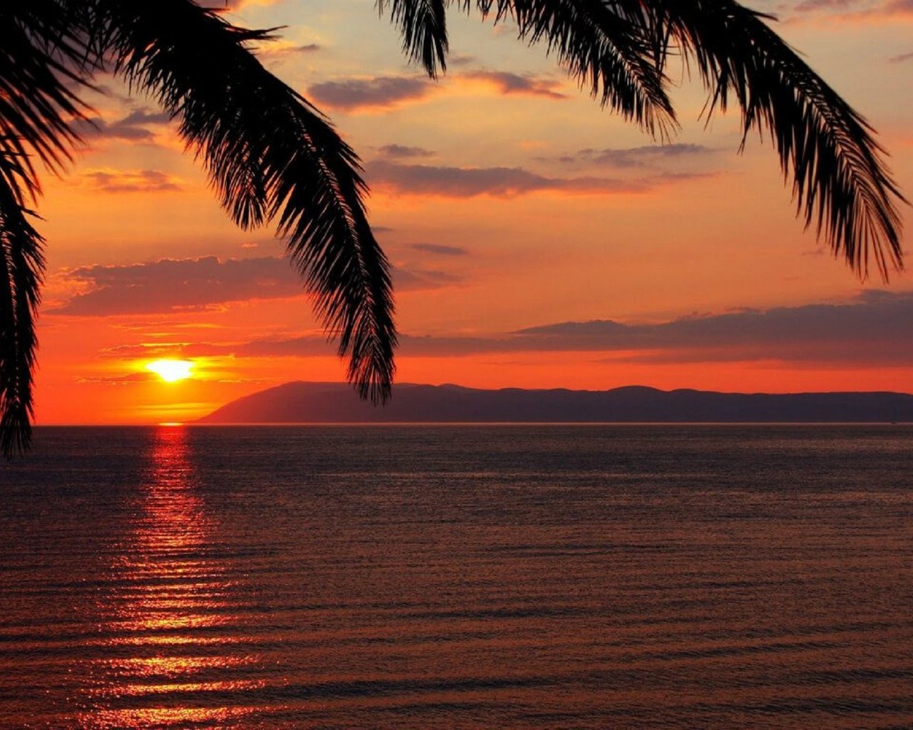 Обои небо, солнце, закат, море, пальма, the sky, the sun, sunset, sea, palma разрешение 1920x1225 Загрузить