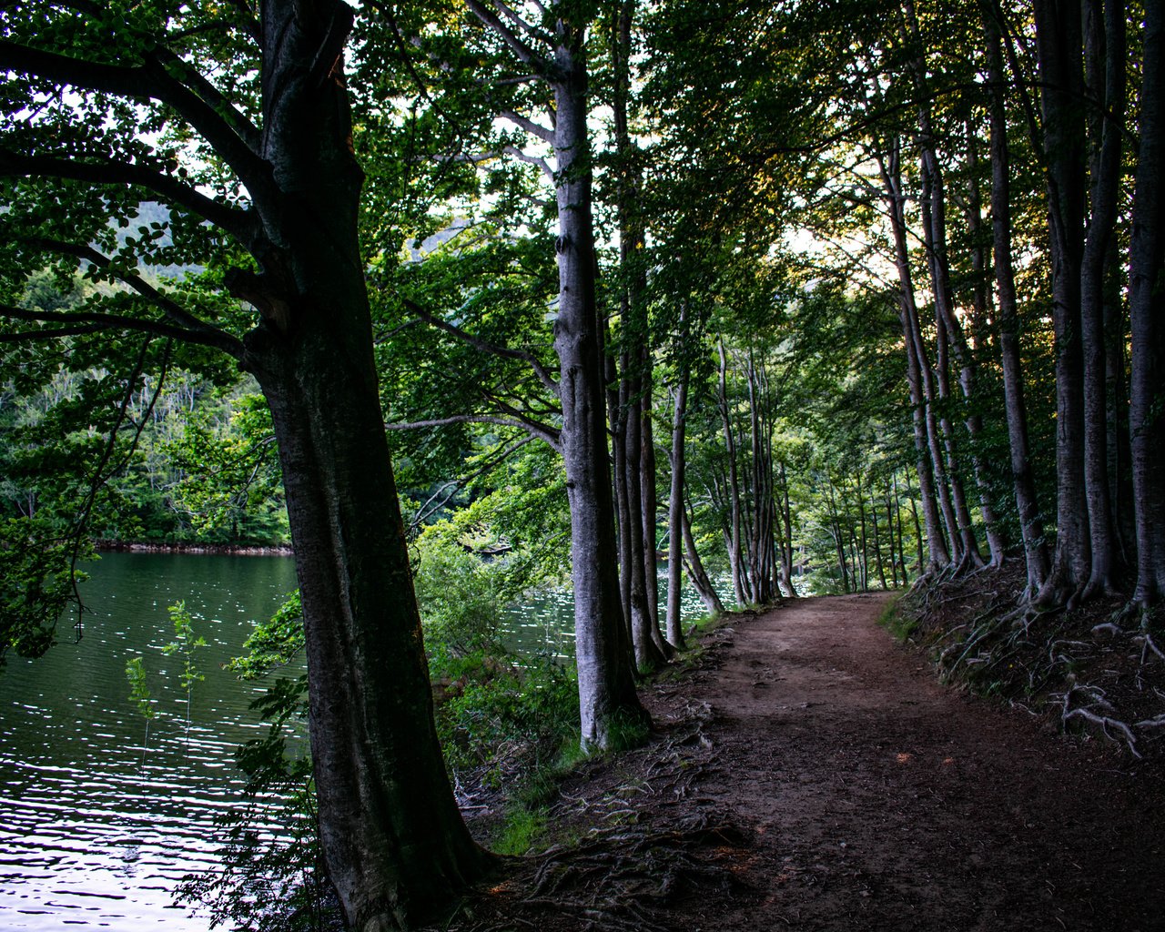 Обои montseny
catalunya, montseny
catalunya разрешение 6000x4000 Загрузить