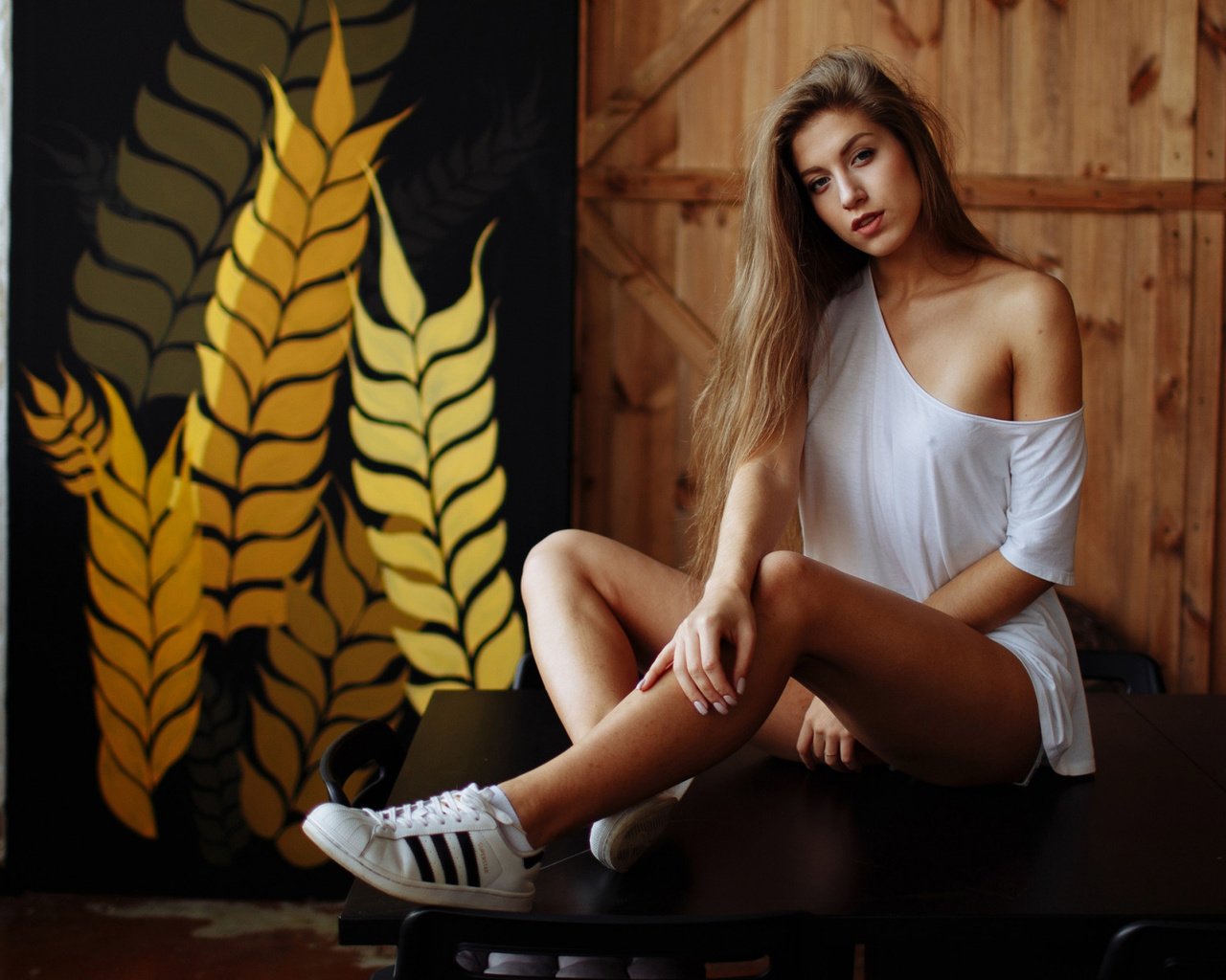 Обои девушка, поза, взгляд, плечо, кроссовки, длинные волосы, girl, pose, look, shoulder, sneakers, long hair разрешение 2112x1188 Загрузить