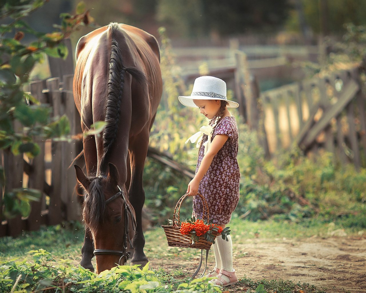 Обои лошадь, девочка, корзина, рябина, horse, girl, basket, rowan разрешение 2112x1188 Загрузить