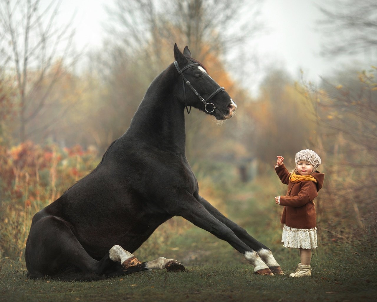 Обои лошадь, девочка, малышка, дрессура, horse, girl, baby, taming разрешение 1920x1280 Загрузить