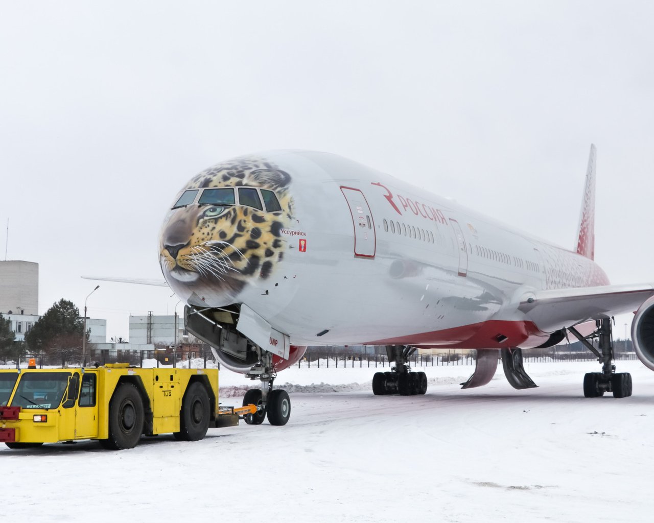 Скачать обои тигр, пассажирский, снег, b-777, уссурийск разрешение  1280x1024 #245958