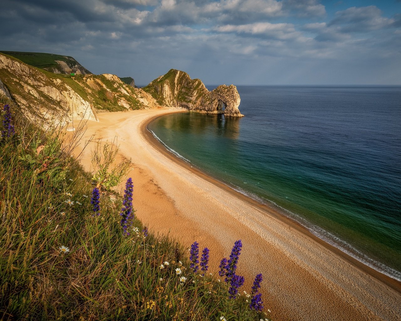 Обои цветы, море, песок, пляж, побережье, durdle door, дердл-дор, flowers, sea, sand, beach, coast, deral-dor разрешение 2048x1365 Загрузить