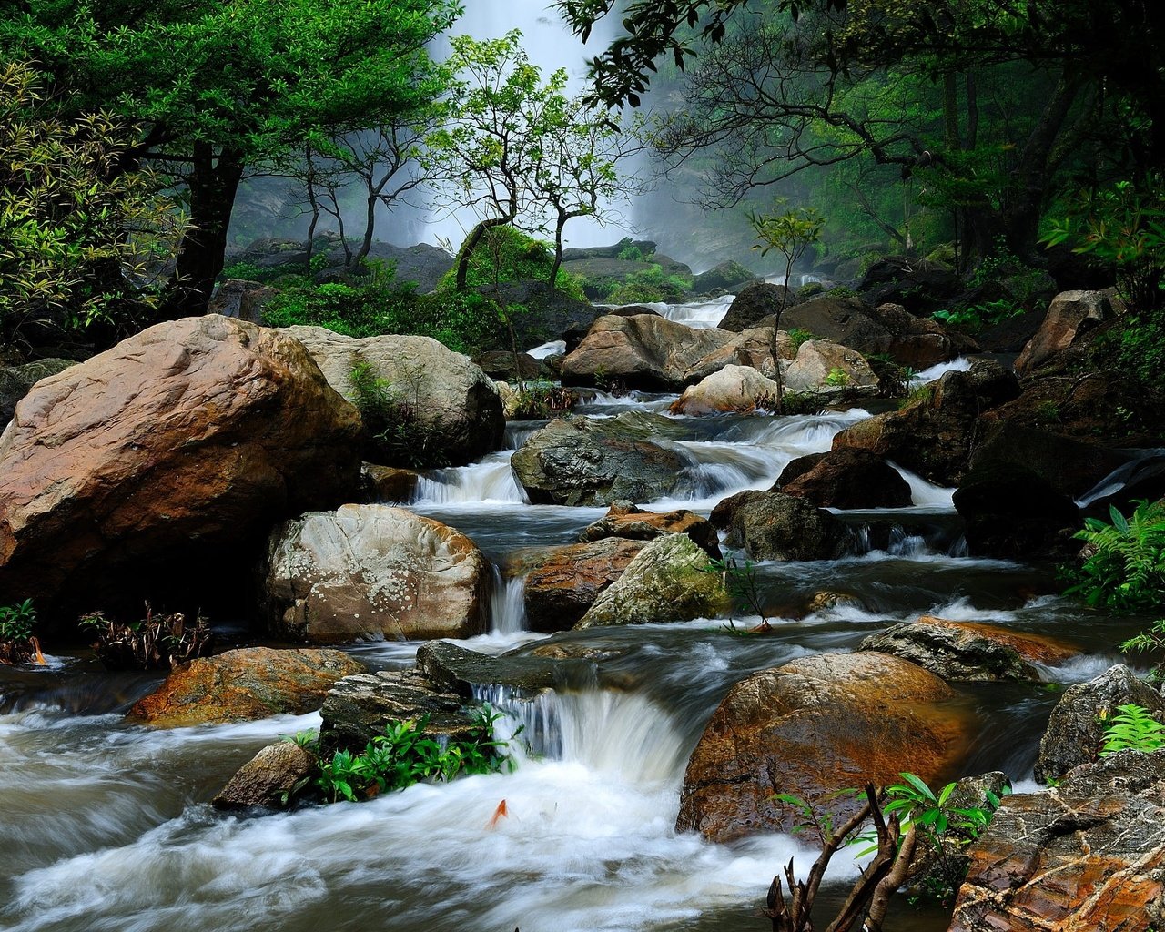 Обои деревья, река, природа, камни, лес, пейзаж, таиланд, течение, trees, river, nature, stones, forest, landscape, thailand, for разрешение 2000x1328 Загрузить