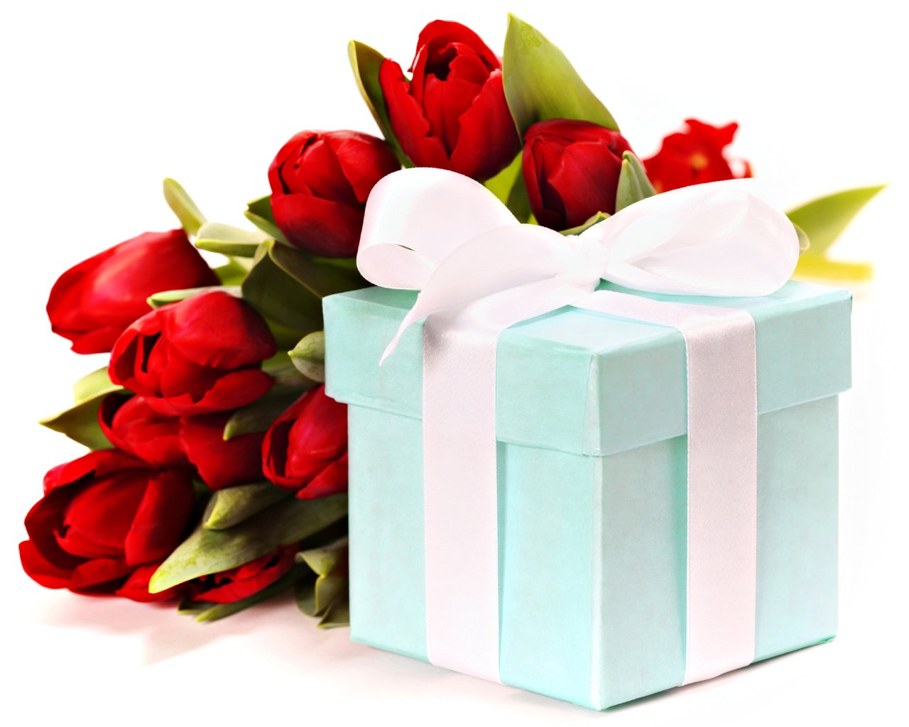 Обои красные, букет, тюльпаны, лента, подарок, праздник, natalia klenova, red, bouquet, tulips, tape, gift, holiday разрешение 2560x1920 Загрузить