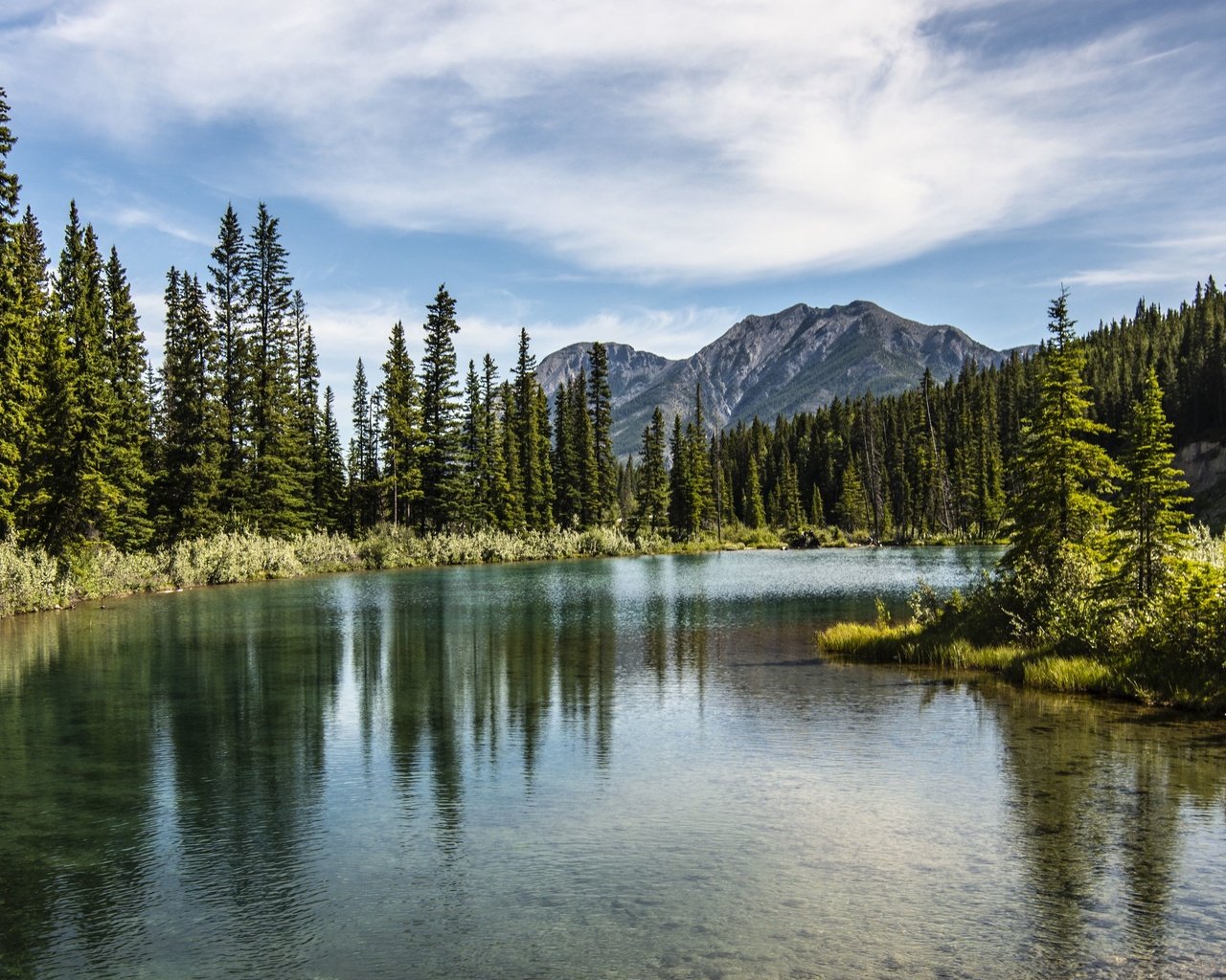 Обои деревья, озеро, горы, лес, вершины, trees, lake, mountains, forest, tops разрешение 3840x2160 Загрузить