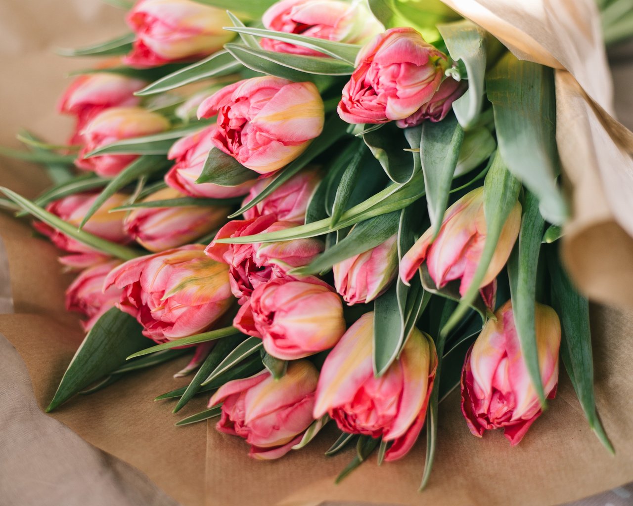 Обои цветы, бутоны, лепестки, букет, тюльпаны, розовые, flowers, buds, petals, bouquet, tulips, pink разрешение 4104x2736 Загрузить
