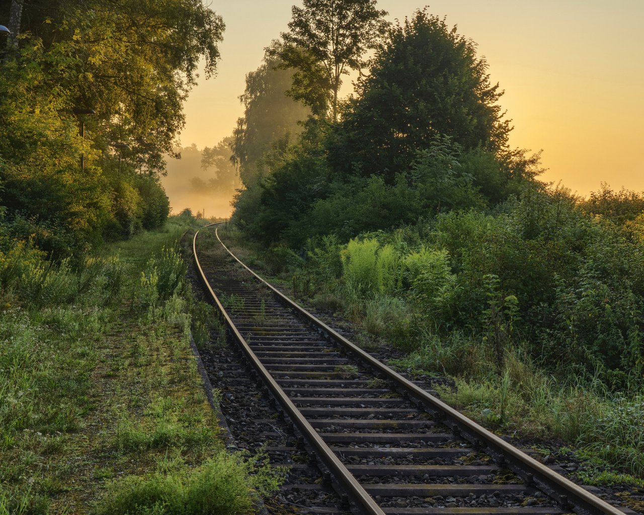 Обои дорога, железная дорога, природа, лес, утро, туман, road, railroad, nature, forest, morning, fog разрешение 2112x1188 Загрузить