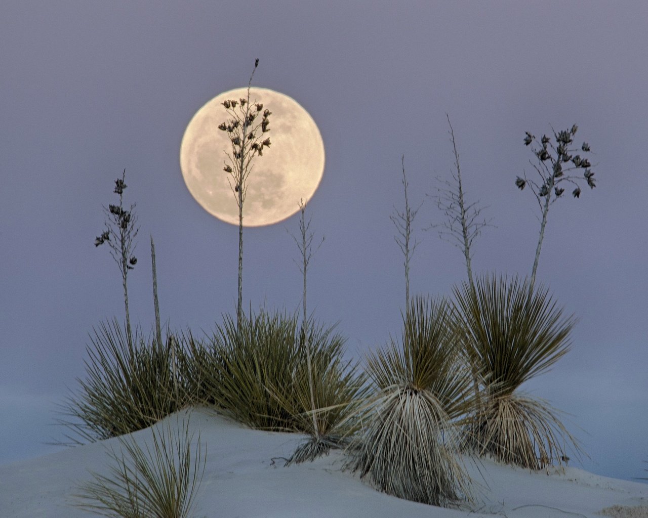 Обои пустыня, луна, сша, нью-мексико, белый песок, white sands national monume, desert, the moon, usa, new mexico, white sand разрешение 2047x1497 Загрузить