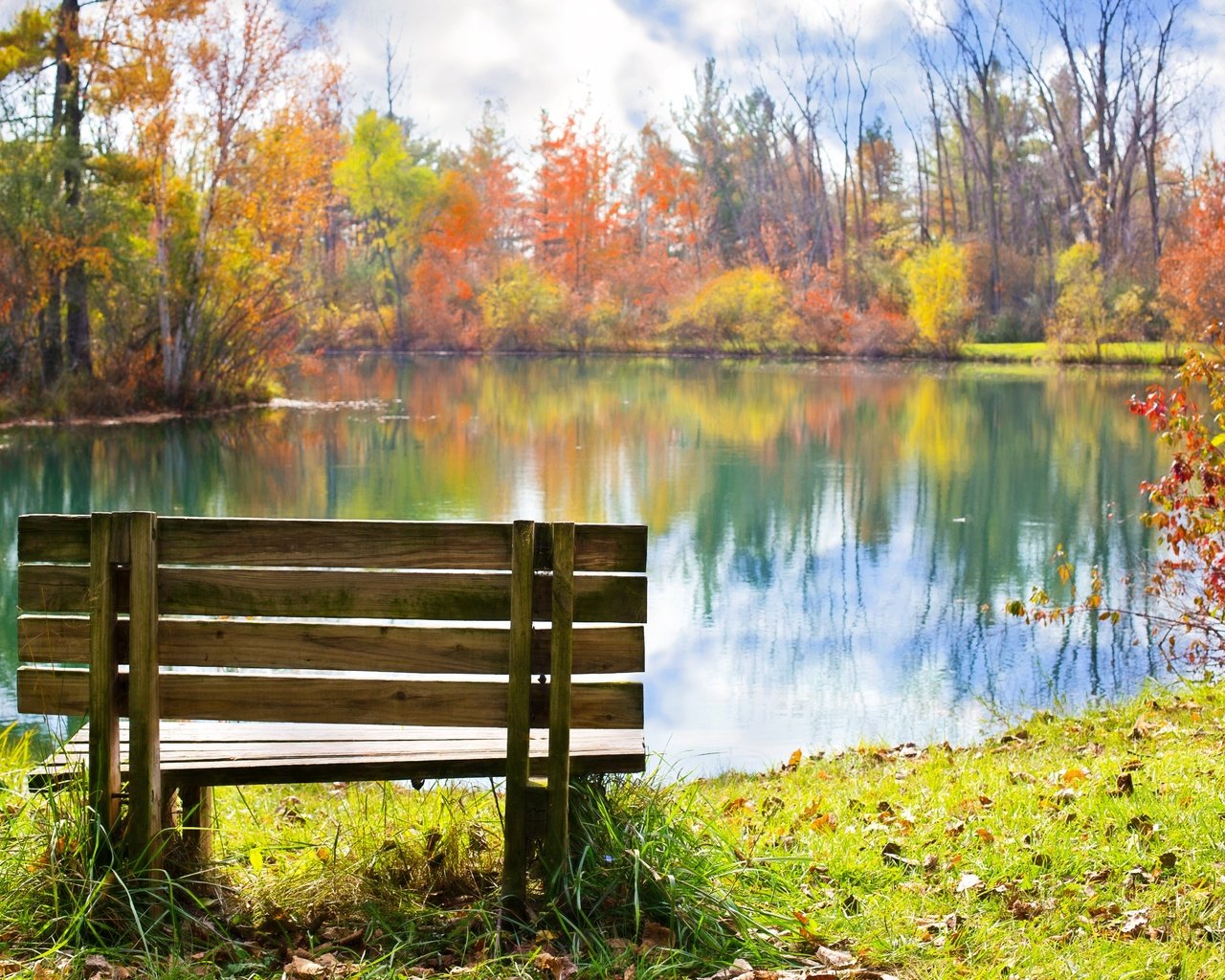 Обои трава, листья, отражение, парк, осень, скамейка, пруд, пруд парк, grass, leaves, reflection, park, autumn, bench, pond разрешение 5760x3840 Загрузить