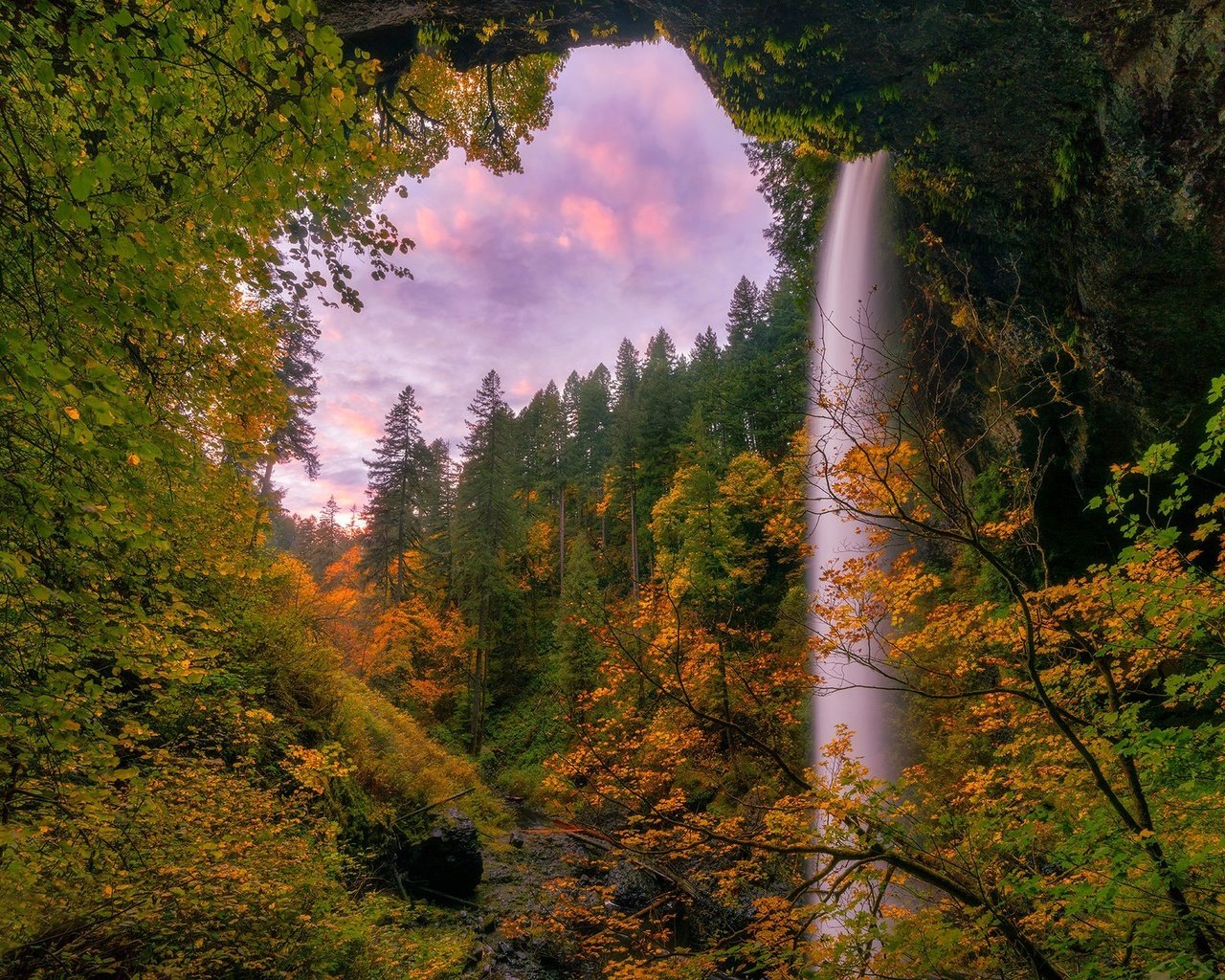 Обои деревья, лес, водопад, осень, орегон, silver falls state park, trees, forest, waterfall, autumn, oregon разрешение 2048x1366 Загрузить