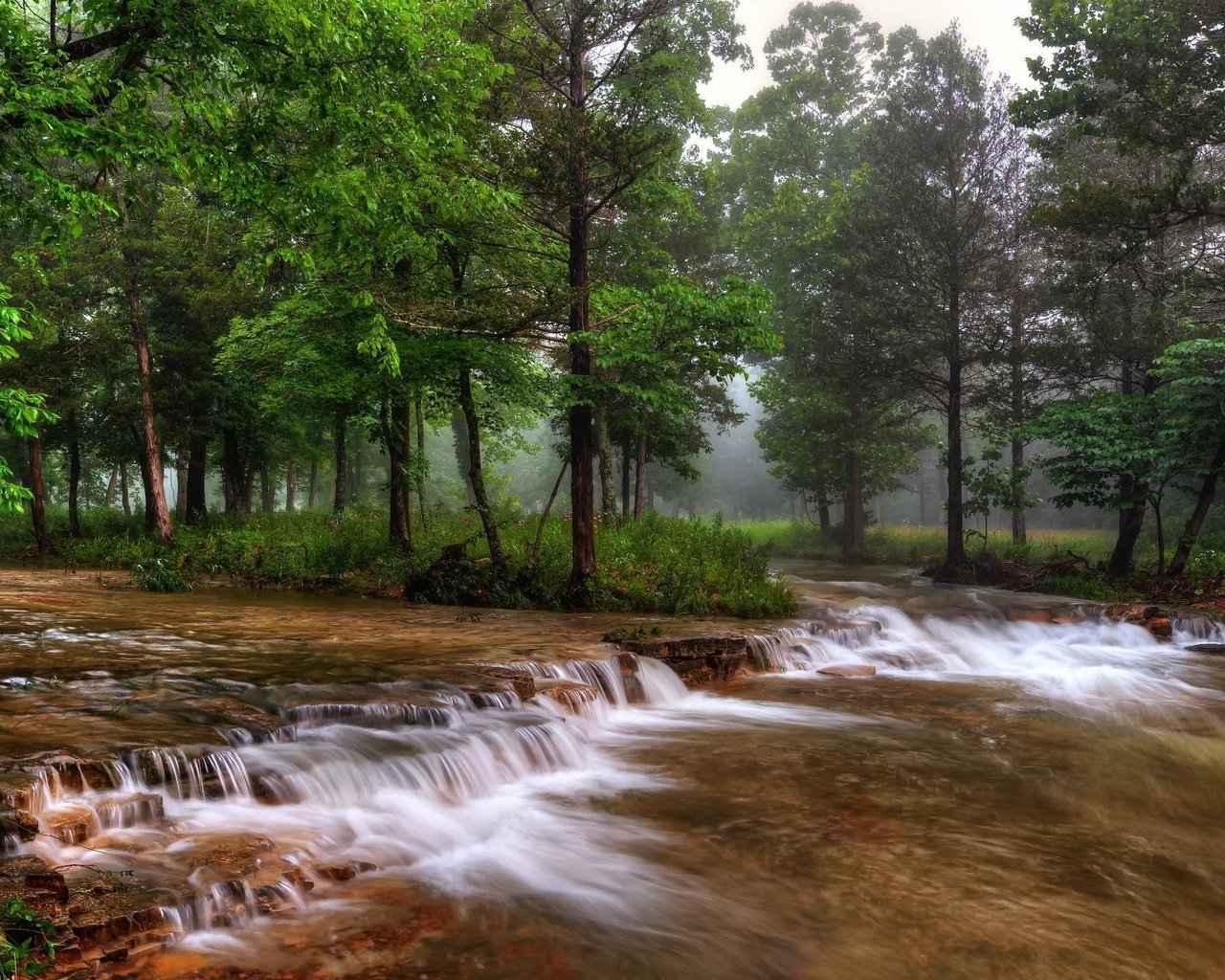 Обои деревья, река, природа, лес, туман, сша, миссури, trees, river, nature, forest, fog, usa, missouri разрешение 2048x1343 Загрузить