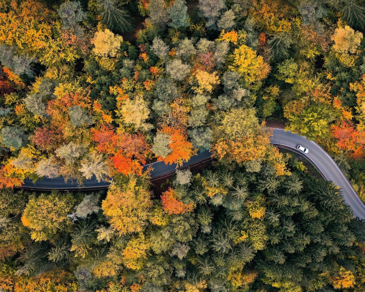 Обои дорога, лес, осень, road, forest, autumn разрешение 2048x1365 Загрузить