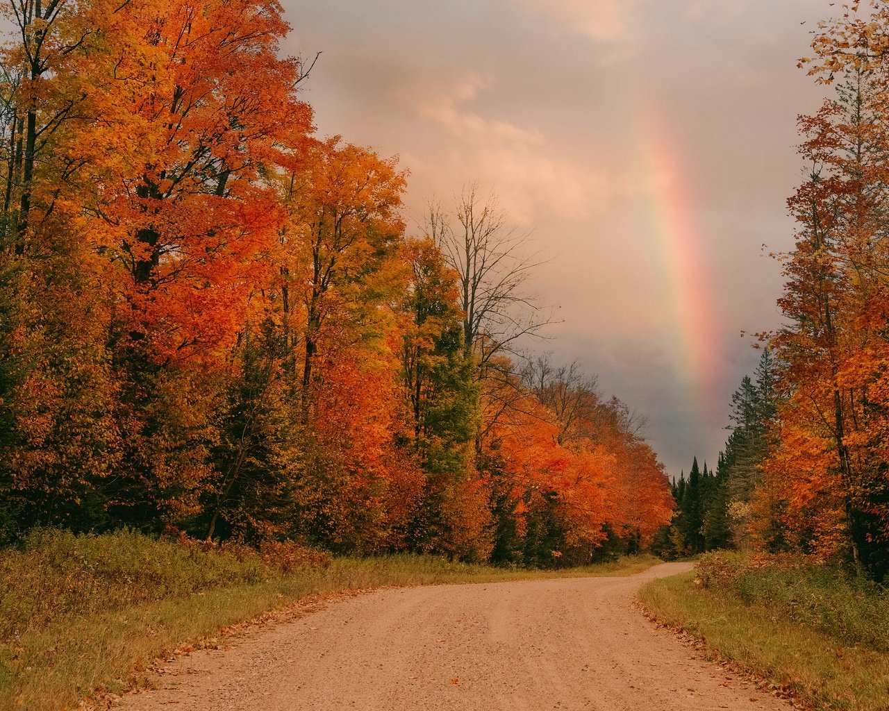 Обои дорога, осень, радуга, road, autumn, rainbow разрешение 3840x2160 Загрузить