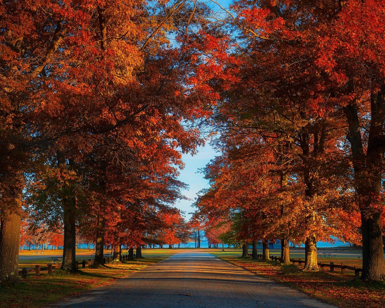 Обои дорога, парк, листва, осень, аллея, road, park, foliage, autumn, alley разрешение 3840x2160 Загрузить