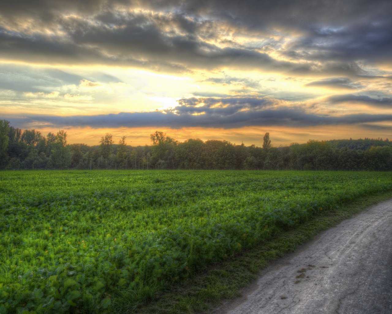 Обои дорога, закат, поле, road, sunset, field разрешение 3840x2160 Загрузить