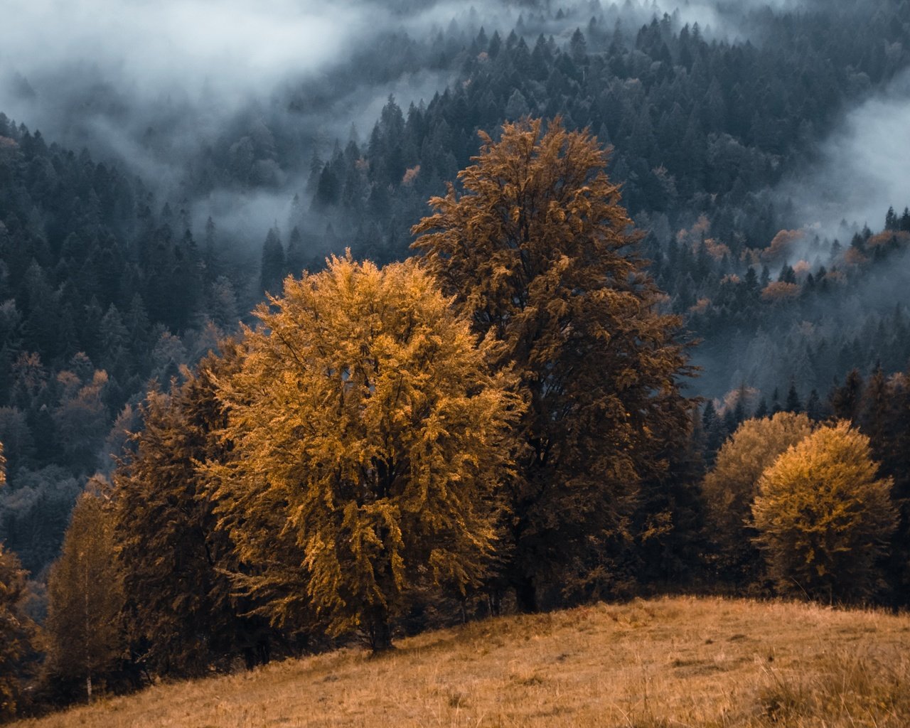 Обои горы, туман, осень, mountains, fog, autumn разрешение 3840x2160 Загрузить