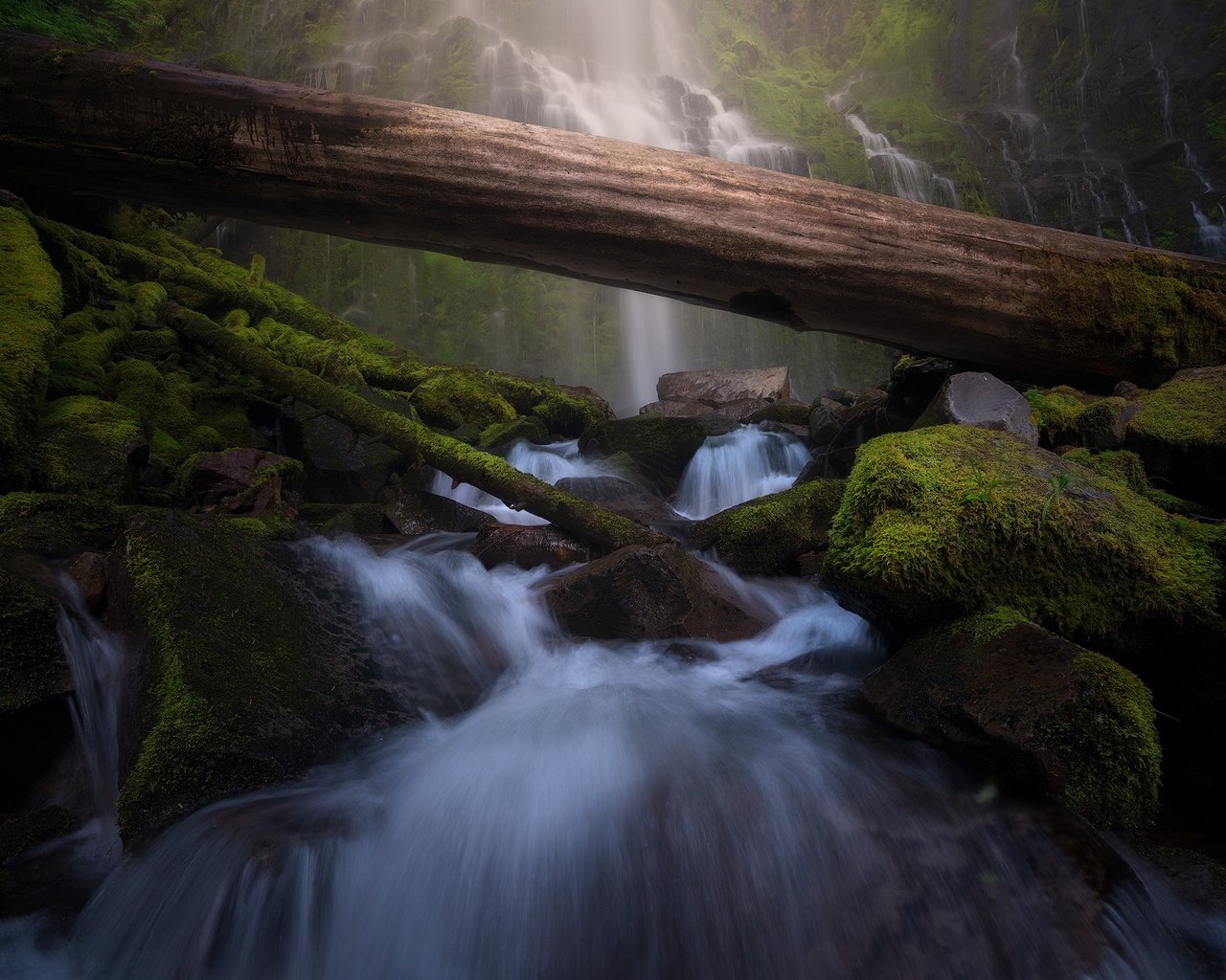 Обои камни, валуны, зелень, водопад, поток, мох, бревно, водопады, каскад, stones, boulders, greens, waterfall, stream, moss, log, waterfalls, cascade разрешение 2048x1391 Загрузить