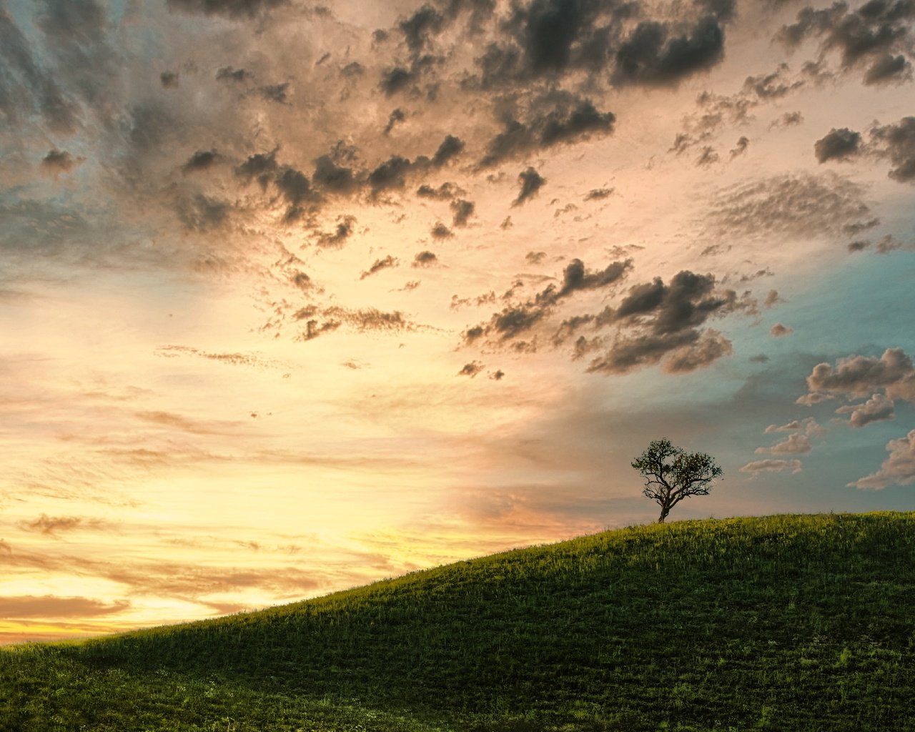 Обои облака, дерево, поле, clouds, tree, field разрешение 2500x1563 Загрузить