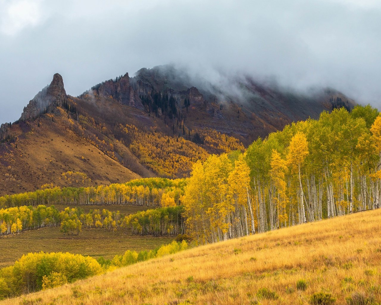 Обои облака, горы, лес, поле, склон, осень, clouds, mountains, forest, field, slope, autumn разрешение 3840x2160 Загрузить