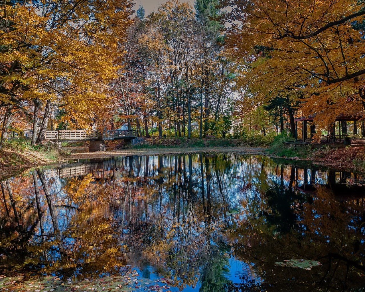 Обои деревья, природа, отражение, парк, мост, осень, trees, nature, reflection, park, bridge, autumn разрешение 2123x1329 Загрузить