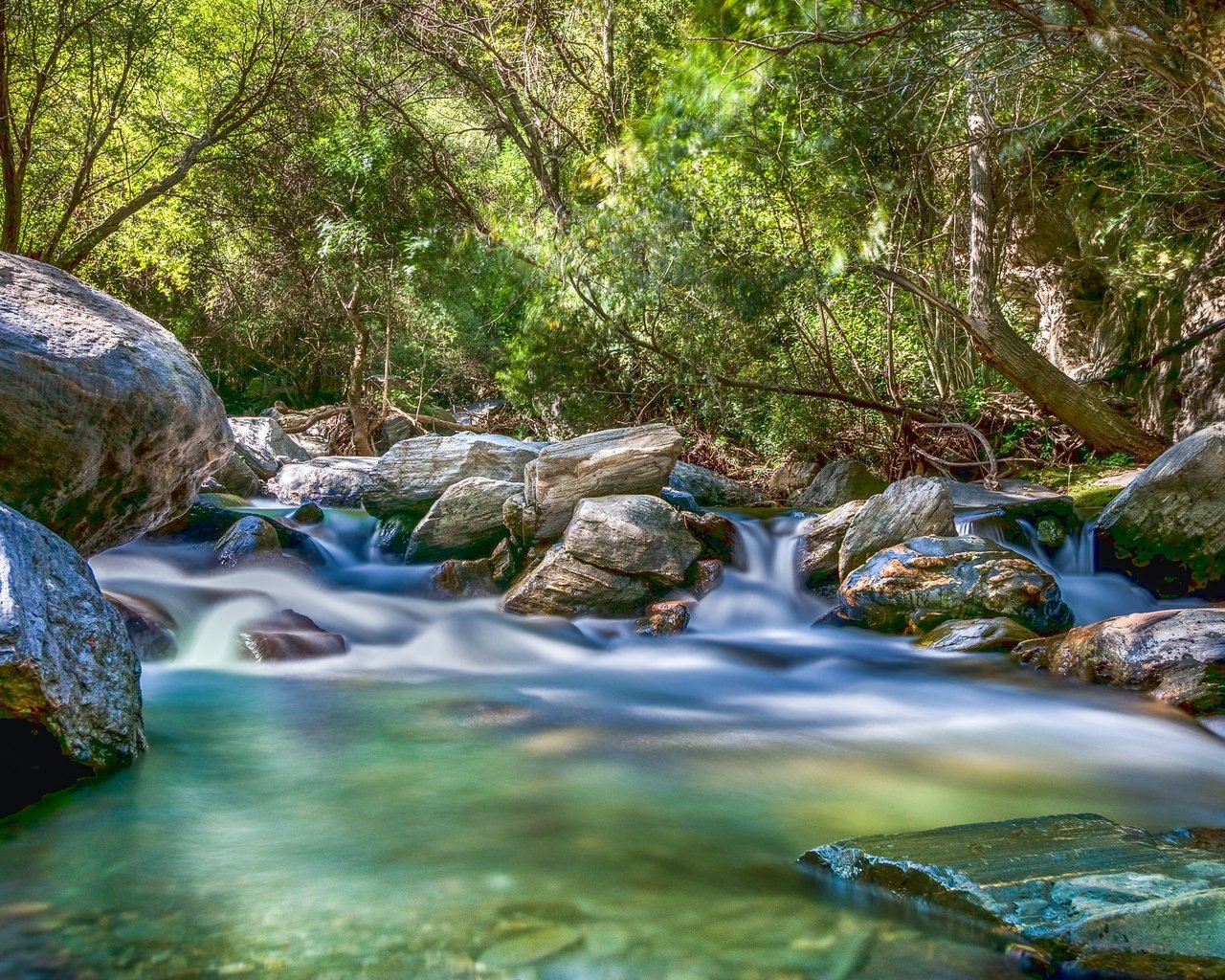 Обои река, камни, лес, поток, river, stones, forest, stream разрешение 2048x1365 Загрузить