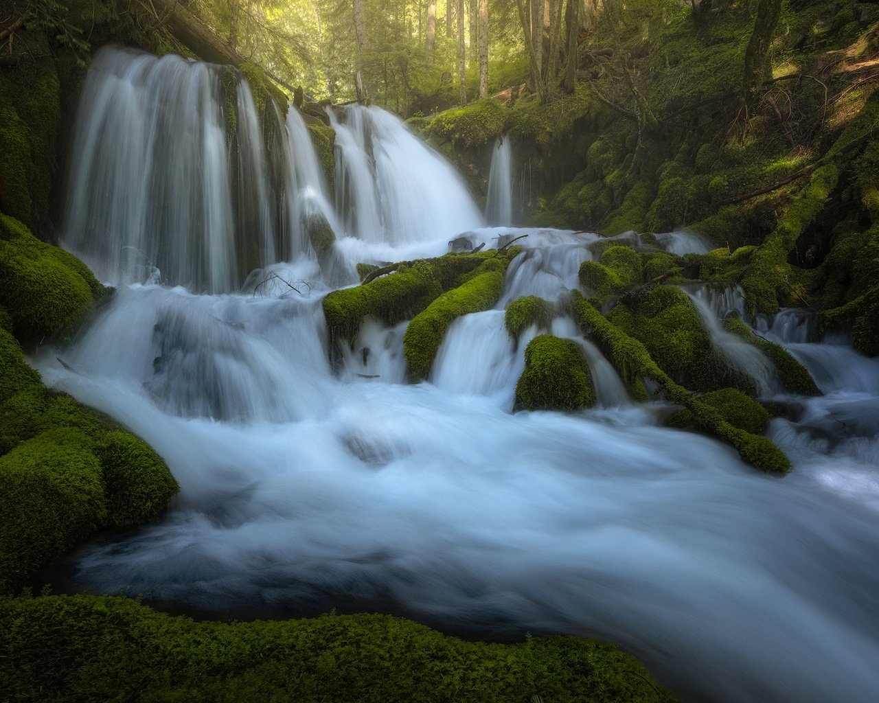 Обои река, водопады, камни, каскад, зелень, лес, водопад, поток, мох, корни, river, waterfalls, stones, cascade, greens, forest, waterfall, stream, moss, roots разрешение 2048x1365 Загрузить