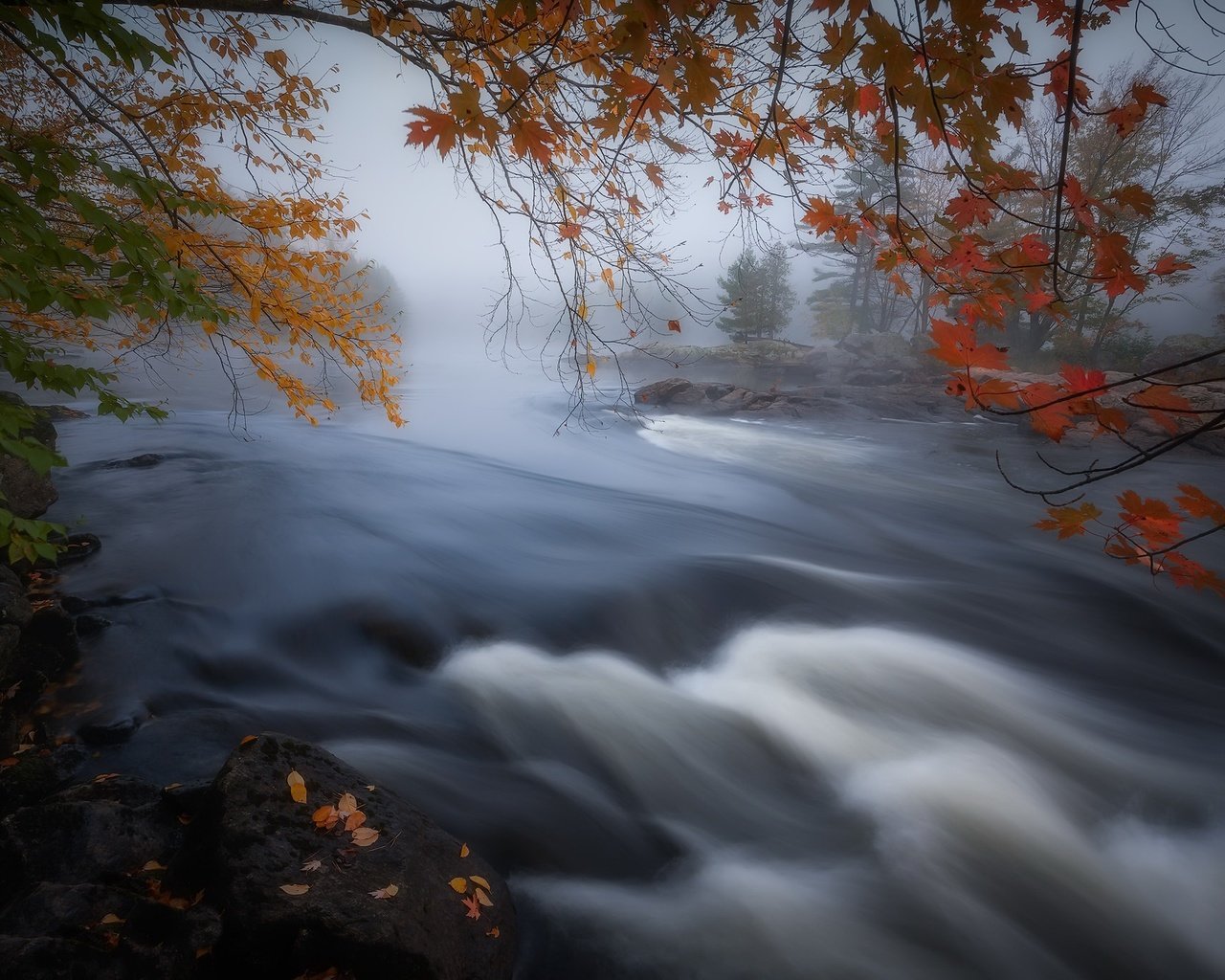 Обои река, туман, осень, канада, онтарио, river, fog, autumn, canada, ontario разрешение 2048x1365 Загрузить