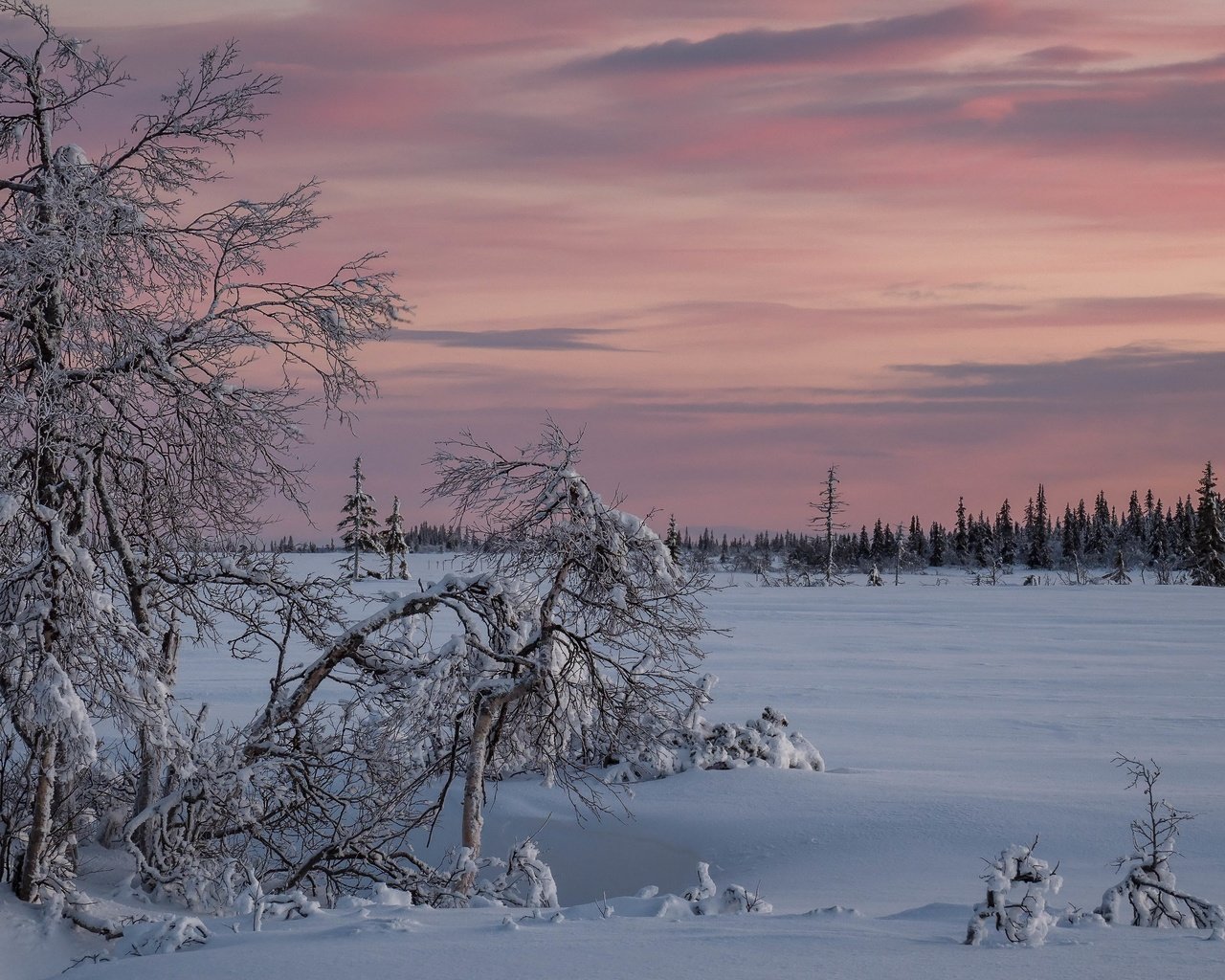 Обои снег, закат, зима, snow, sunset, winter разрешение 3840x2160 Загрузить