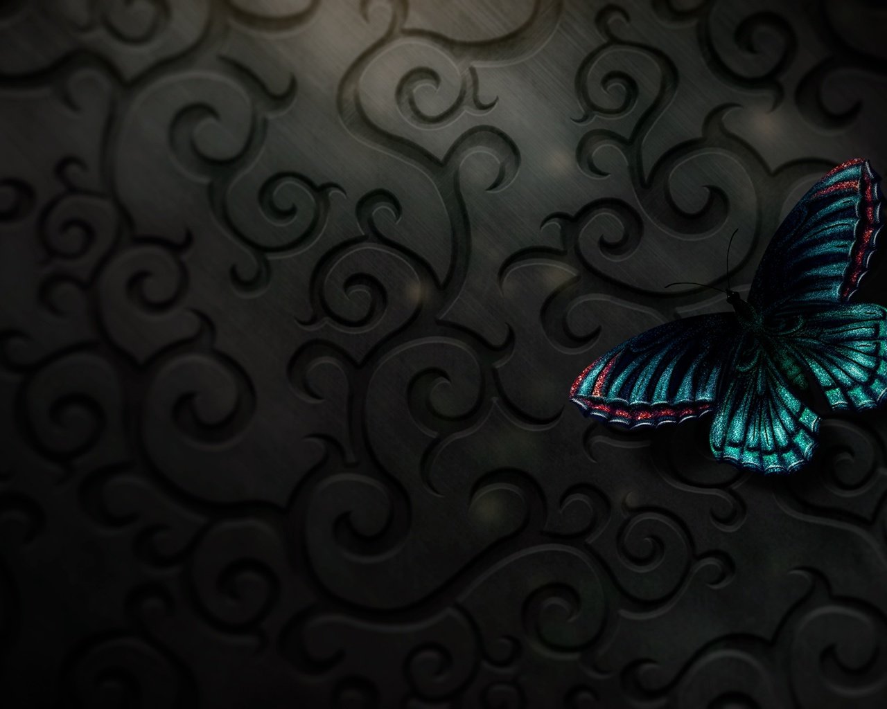 Обои бабочка, butterfly разрешение 2560x1440 Загрузить