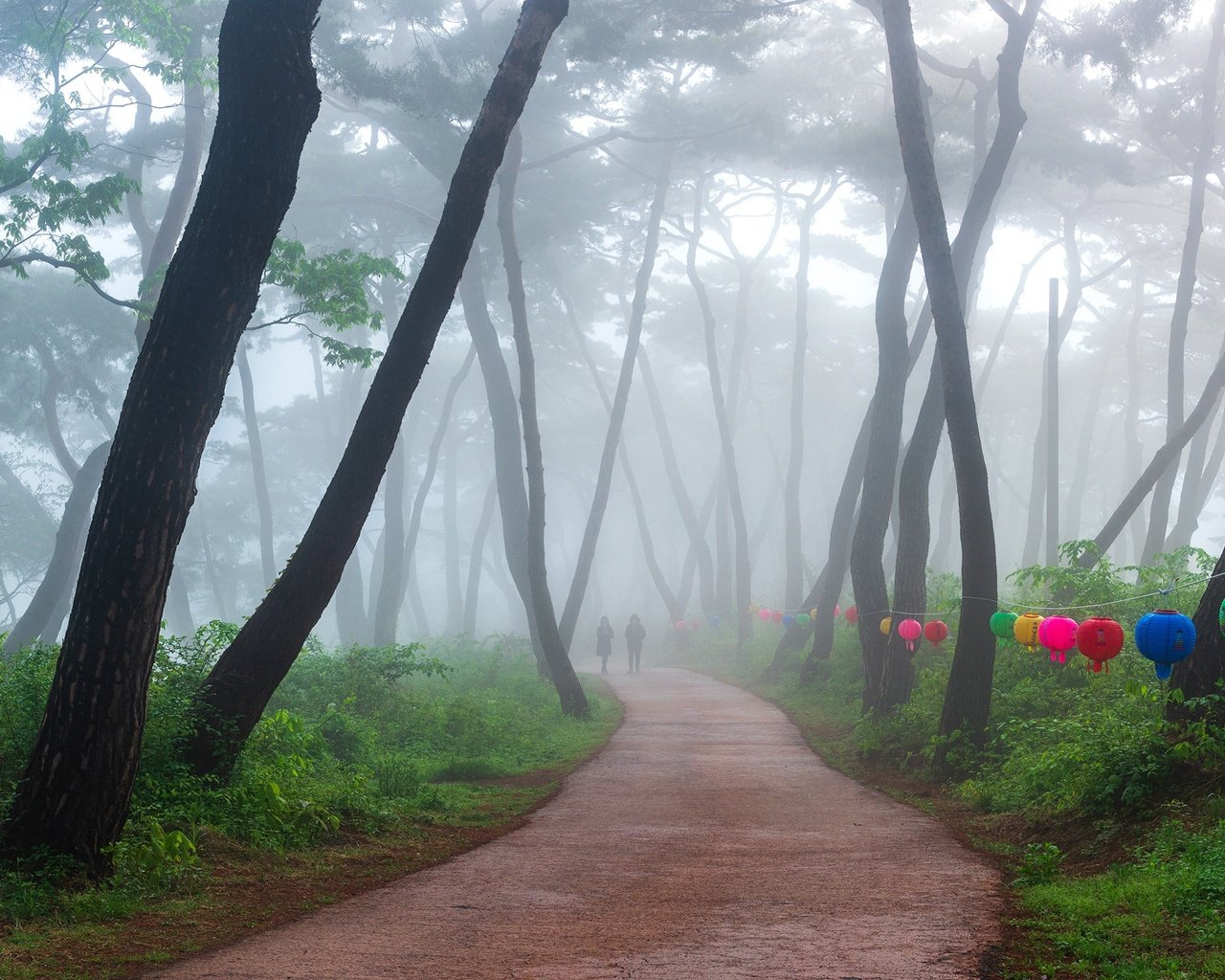 Обои деревья, парк, туман, дорожка, люди, фонарики, trees, park, fog, track, people, lanterns разрешение 2000x1169 Загрузить